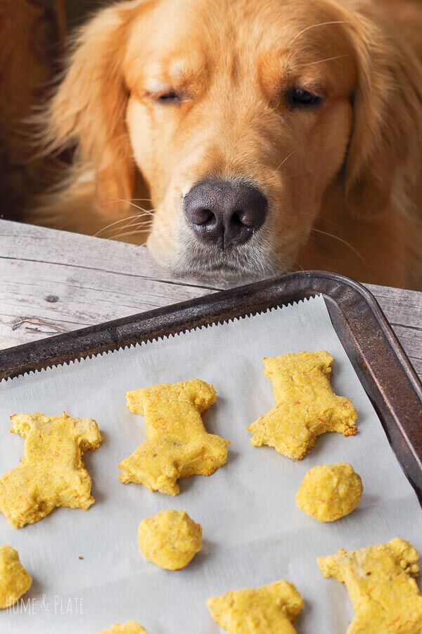Dog Treat Recipe for Dogs with Allergies (Grain Free)